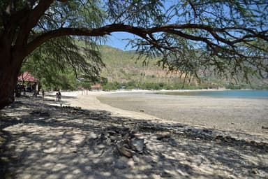 Shady trees along the sand at Areia Branca beach with green hills behind