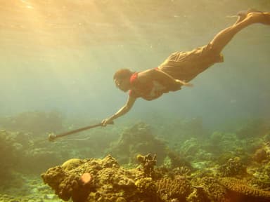 A free diver from the Wawata Topu women's group spearfishing over a coral reef off Atauro