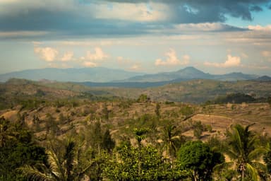 View over palms and hills towards the border from the wall of Balibo fort