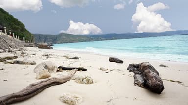White sand, driftwood and turquoise water at Praia de Cristo Rei, Dili