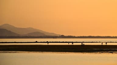 People wading on the reef flats at sunset in Dili, with hills on the horizon