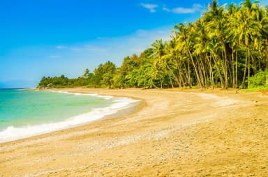 A golden beach lined with coconut palms and turquoise water near Liquiçá