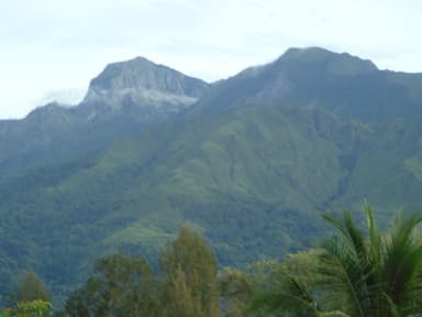The green slopes of Mount Matebian rising above palm trees